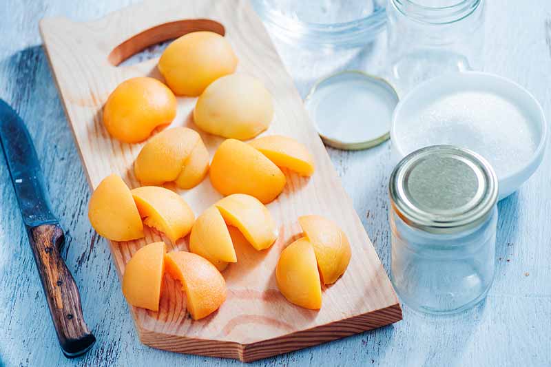 Easy 30-Minute Canned Peaches Recipe