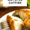 Air Fryer Catfish