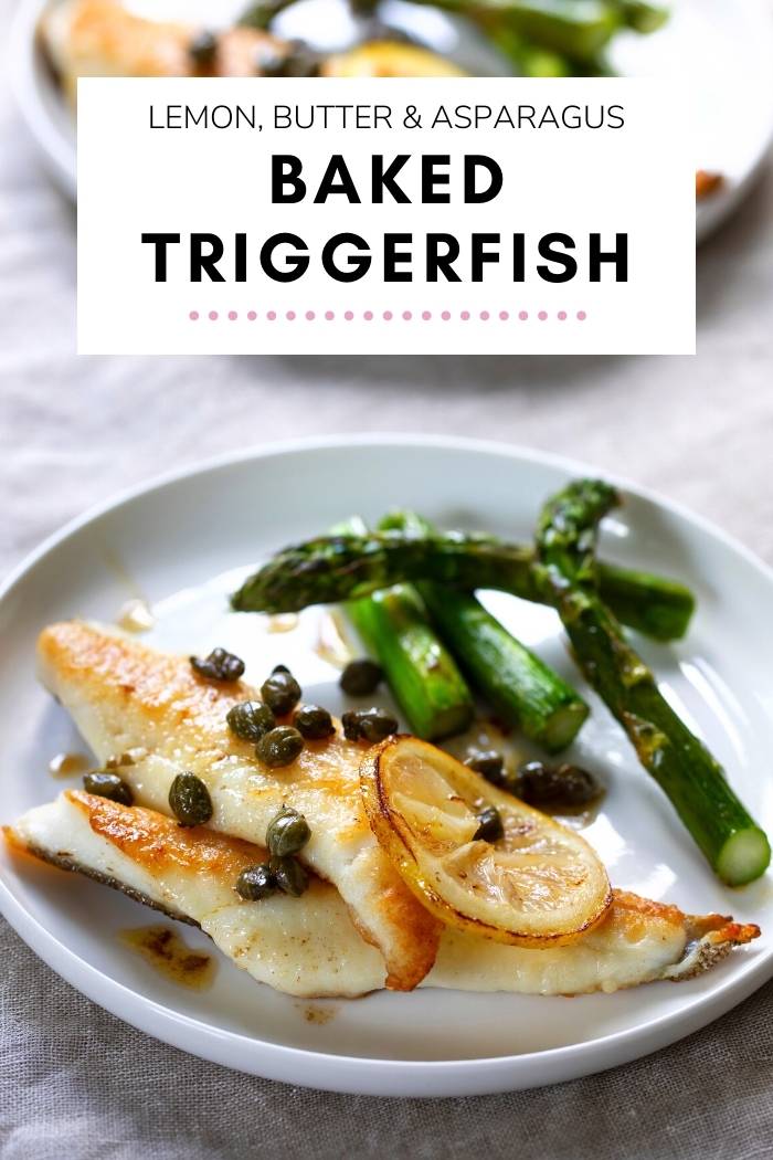 Baked Triggerfish