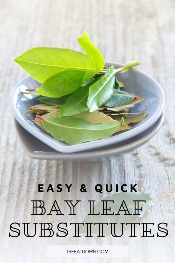 bay leaf substitutes guide image herbs in serving bowl on wooden background
