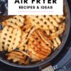 Best Air Fryer Recipes