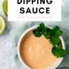 Best Dipping Sauce Recipes
