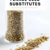 Best Fennel Seed Substitutes