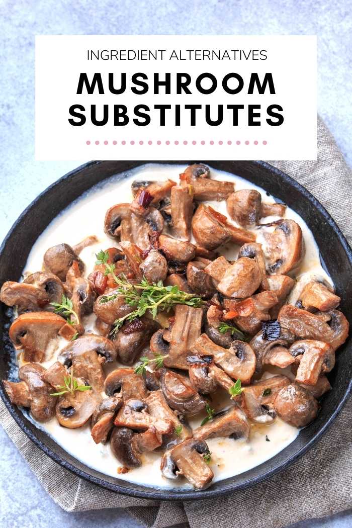 Best Mushroom Substitutes