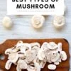 Best Types of Mushroom for Cooking