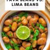 Fava Beans vs Lima Beans