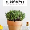 Thyme Substitutes