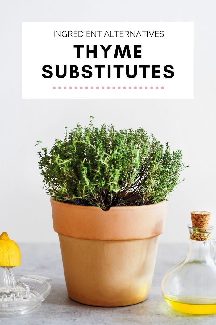 Thyme Substitutes