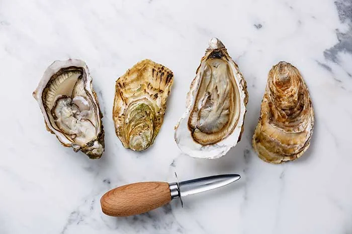 best oyster shucking knife guide
