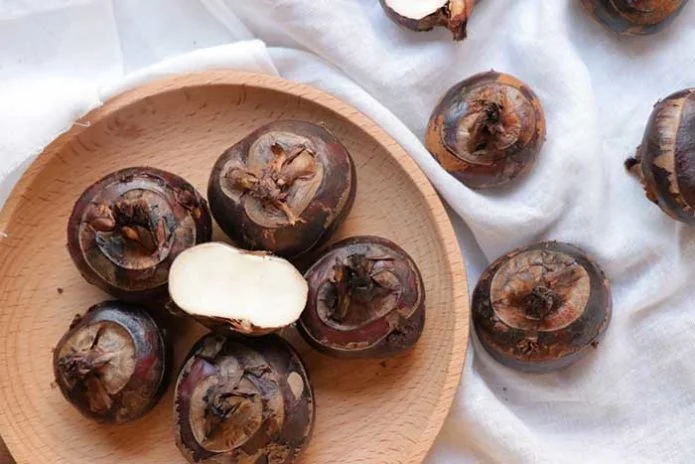 chinese water chestnut