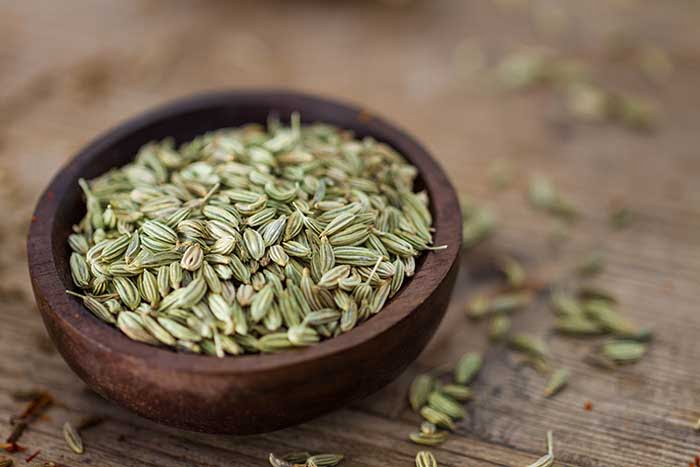 best fennel seed substitute alternatives