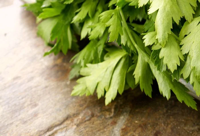 fresh chervil