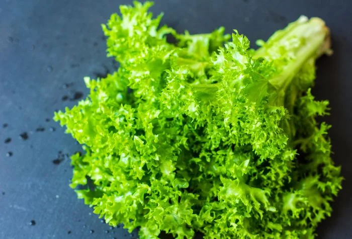 fresh endive