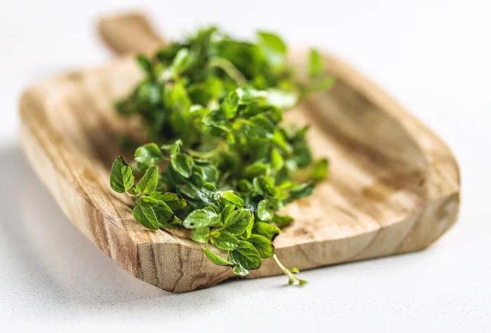 fresh oregano