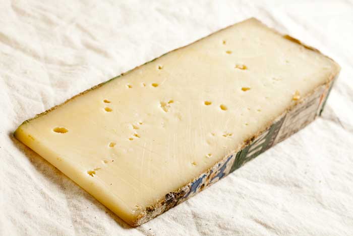 italian fontina cheese