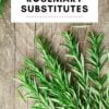 rosemary substitutes